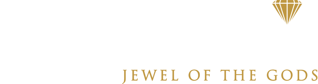 Chintamanis Logo